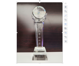 2008����Ҹ����չ�ҵ��ʮ��ɼ�ר��չ����������֯����