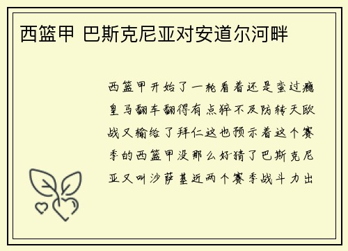 西篮甲 巴斯克尼亚对安道尔河畔